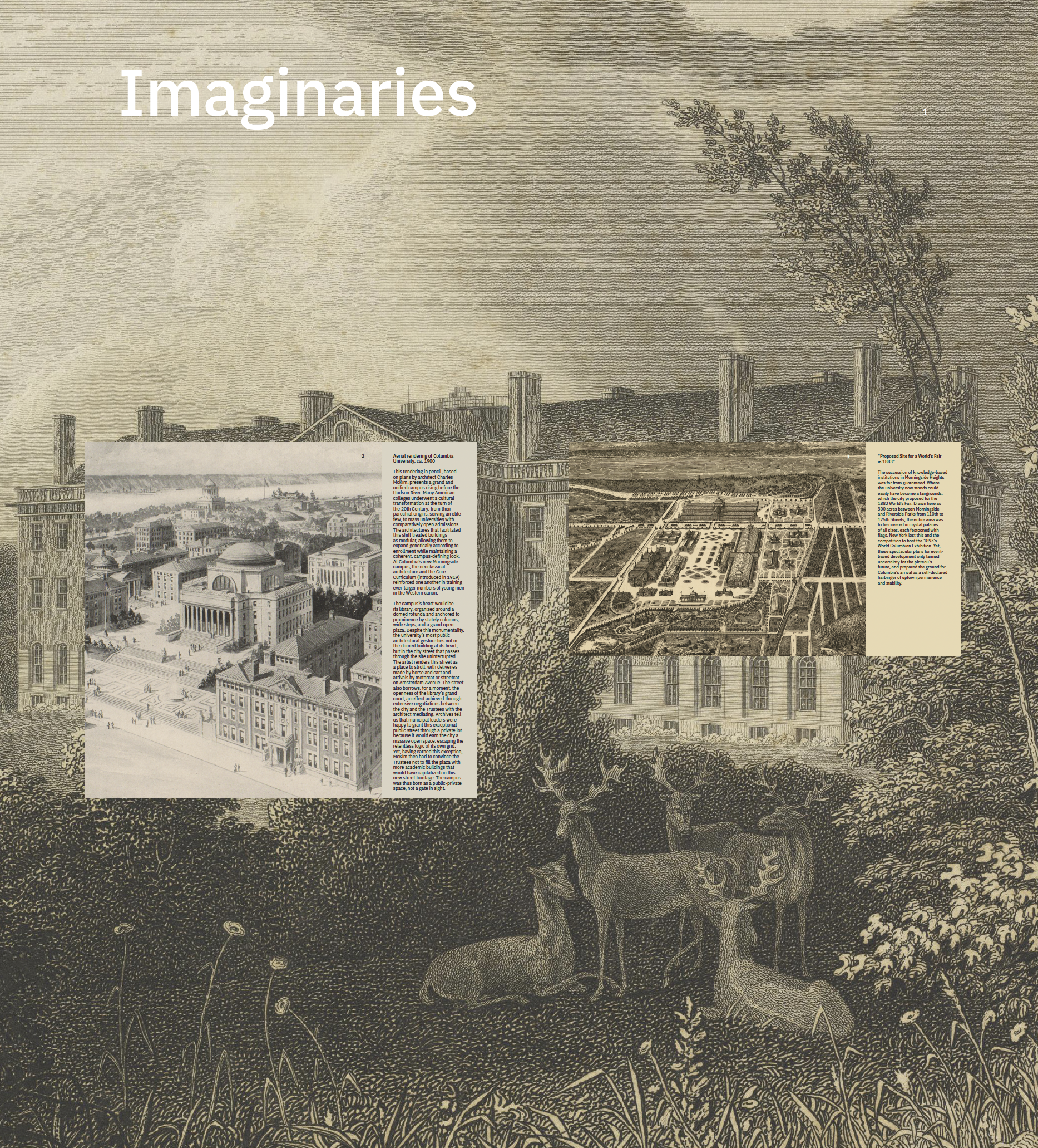 Imaginaries